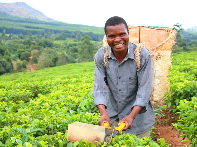 A healthy farmer in Malawi smiles.